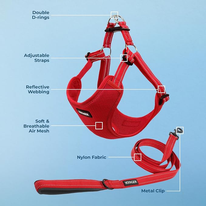 Best Pet Supplies Voyager Adjustable Step-in Flex Breathable Mesh Dog Harness for Small Medium Large Dogs Leash Set (Red), XL - Image 3