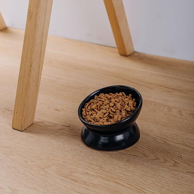 Elevated Ceramic Cat Bowl, 15° Tilted Raised Food & Water Dishes, Anti-Vomiting & Neck Protection Pet Feeder for Kittens, Small Dogs (5.2", Black, 4pc Set) - Image 4