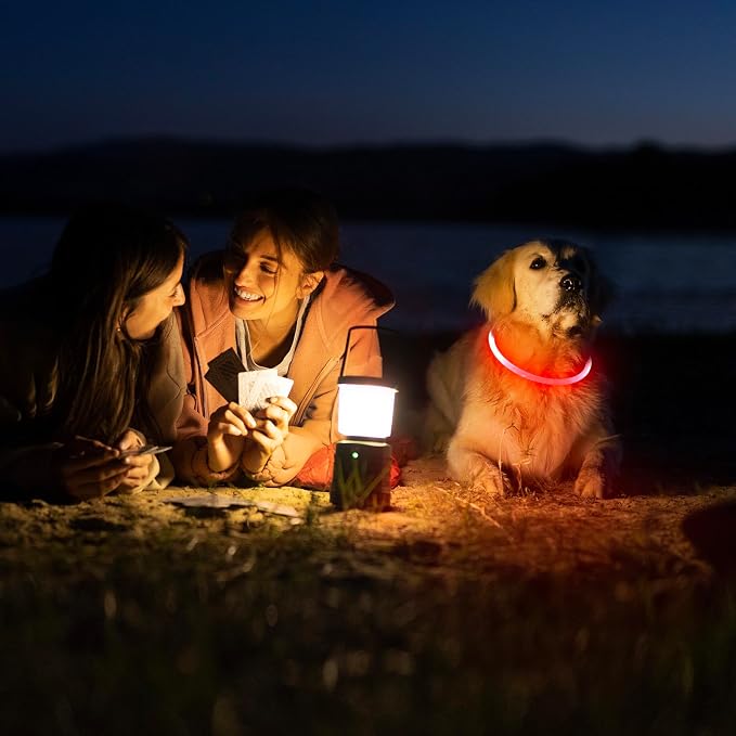 HIGO LED Dog Collar Light - USB Rechargeable Light Up Dog Collars, DIY Flash LED Dog Necklace for Your Dogs Walking at Night (Red) - Image 7