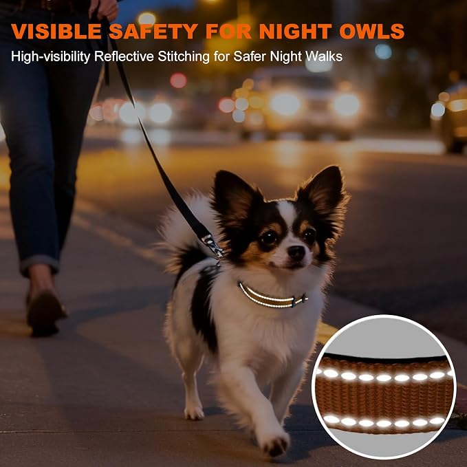 Taglory Reflective Dog Collar for Puppies, Gentle and Safe for Night Walks | Night-Walk Visibility, Soft Neck Cushioning, Adjustable 8-12 in, Locking Buckle, D-Ring for Leash and ID Tags - Image 5