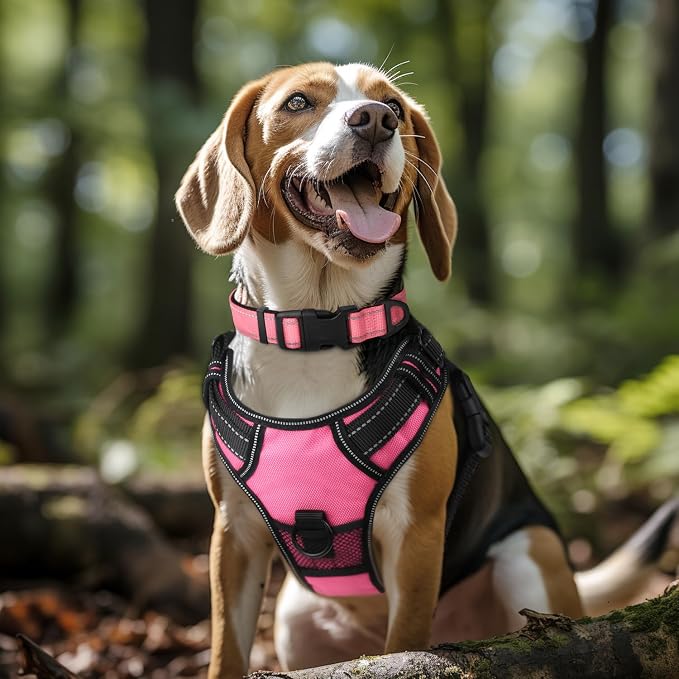 Joytale Reflective Dog Collar, Adjustable Neoprene Padded, Neon Pink L | Breathable Nylon for Large Dogs, No Chafing on Walks and Outdoor Hikes, Tear-Resistant Webbing, Metal D-Ring, Night Safety - Image 2