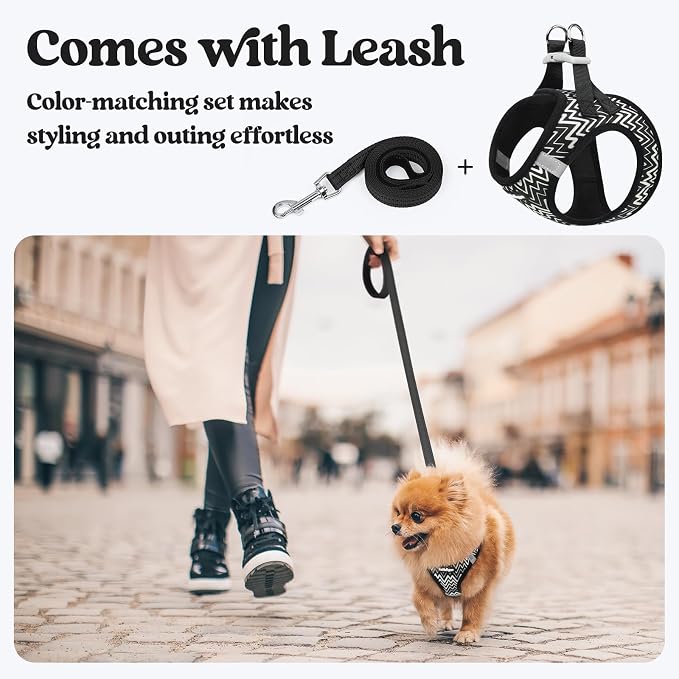 rabbitgoo Dog Harness Small Sized and Leash Set, Step-in Puppy Pet Vest | Light, Soft, Breathable Air Mesh, Easy on and Remove with Hook & Loop, Secure Reflective for Walking, Black Zigzag S - Image 6
