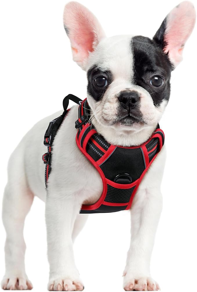 rabbitgoo Dog Harness, No Pull for Small Dogs with 2 Leash Clips, Pet Vest | No Choke with Handle, Adjustable Soft Padded, Reflective, Easy Control for Walking, Black & Red, Small by rabbitgoo