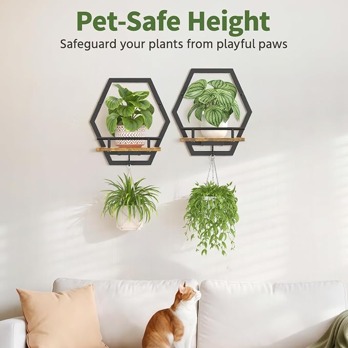 LASZOLA Plant Picture Frame Holder Shelf Wall Window Indoor, 2 Pcs Brown | Modern Floating Flower Hanger Wall Mounted, with Hooks, Metal Planter Hanging Stand Display Decor for Home Bathroom - Image 6