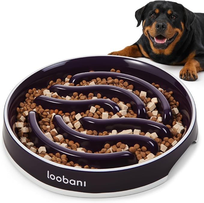 LOOBANI 4.5 Cups Ceramic Slow Feeder Dog Bowls Giant Dogs with Grip Handles | Heavy Ceramic, Stay in Place, Healthier Eating, Durable & Easy-Clean, Foam-Protected, Perfect for Fast-Eating Large Breeds by LOOBANI