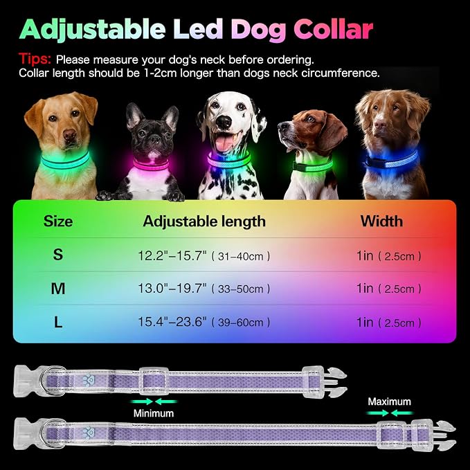 Flashseen Light up Collars for Dogs at Night, 9-Mode Glow, USB Rechargeable | Color Changing LED Lighted Dog Collar, Super Bright Adjustable Glow Collar for Night Walking (Lavender, Small) - Image 6