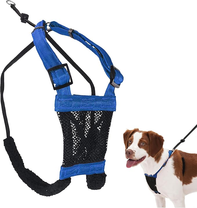 Sporn No Pull Dog Harness, Durable Nylon Mesh Harness for Medium Dogs, No Choke Design, Padded Restraint Sleeves, Adjustable Fit, Easy On/Off, Ideal for Medium Breeds, Blue by Sporn