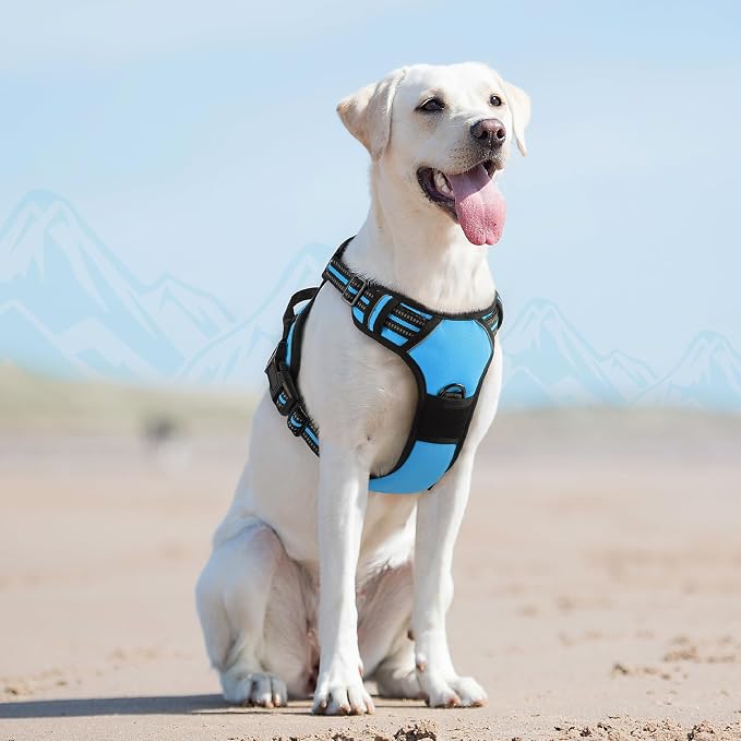 Eagloo Dog Harness for Large Dogs, No Pull Pet Vest with 2 Leash Clips | No Choke with Handle, Adjustable Comfort Fit, Reflective Strips, Easy Walking Control, Sky Blue, Large - Image 8
