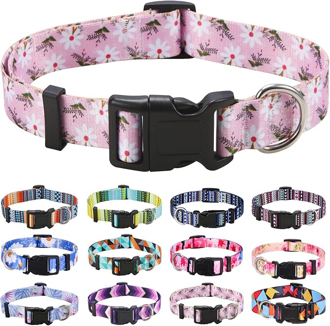 Mihqy Dog Collar for Small Dogs, Fashion Design, Pink White Flower,S | Neck Fit 9.8"-15.7", Multiple Patterns，4 Sizes for Small Medium Large Dogs, Comfortable for Walks and Outdoor Hikes by Mihqy