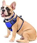 Dog Harness No Pull, Pet Harnesses with Dog Collar, Adjustable Reflective Oxford Outdoor Vest, Front/Back Leash Clips for Small, Medium, Large, Extra Large Dogs, Easy Control Handle for Walking by WINSEE