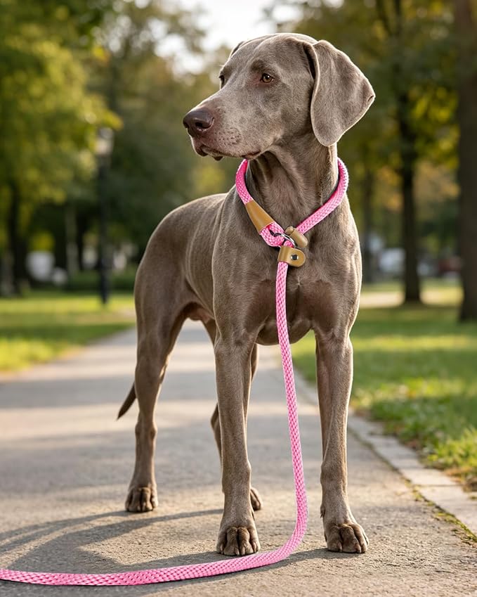 Dog Leash Slip Lead Braided Rope Pet Training Loop Leashes 5ft 6ft 8ft | Lynxking Strong Heavy Duty 1/2" 3/8", Durable Padded Handle No Pull Basic Training Nylon Lead,Small Medium Large Dogs Puppy - Image 8