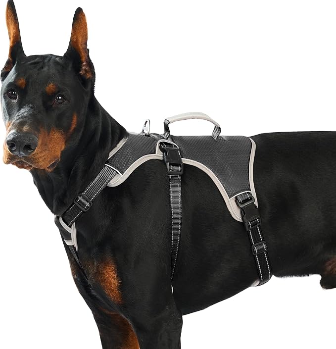 Escape Proof Dog Harness, Dachshund Harness, Reflective Dog Harness with Handle, Durable,Adjustable Vest for Small Medium Large Dogs Walking, Training, and Running Gear (Black,XL) by Huntboo