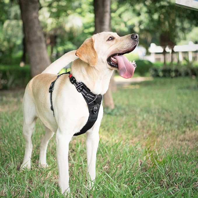 PoyPet Dog Harness Large, No Pull Vest with Front/Back Clip & Neck Buckle | No Choke, Lockable, Reflective, 2 Lead Rings, Adjustable, Soft Padded Handle for Training Walking, L, Black - Image 3