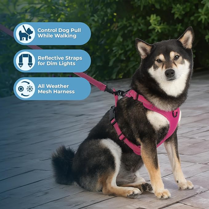 Voyager Dog Harness Dual Leash Attachment No-Pull Control Adjustable Soft but Strong Pet Harness for Medium and Large Dogs with 3M Reflective Technology, Leash Set Fuchsia Nylon, S (Chest: 16-20") - Image 2