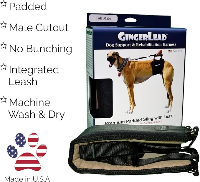 Dog Support Harness, Rear End Lift Sling, Tall Male, Made in USA | Fits Tall, Lean Dogs like Greyhounds or Great Danes, Padded Mobility Aid, Help Pets Walk or Balance, Machine Wash & Dry - Image 3