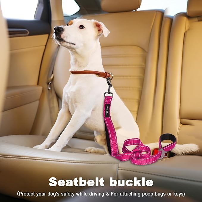 6 Foot Fuchsia Dog Leashes for Large Medium and Small Breed Dogs That Pull,Reflective Nylon Heavy Duty Dog Leash with 2 Comfortable Padded Traffic Handles and Car Seat Belt for Walking and Training - Image 3