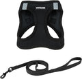 Voyager Step-in Air Cat Harness & Leash Set - Black, XXXS | 11 - 12" in Chest, Reflective Bands, All Weather Breathable Air Mesh, Cats Compatible, Fast Drying by BestPetSuppliesLLC