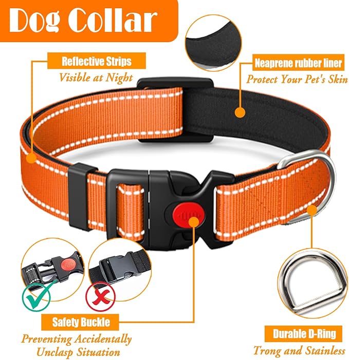 LOBEVE No Pull Dog Harness, Collar & Leash Set with Travel Accessories | Includes Dog Seat Belt, Collapsible Bowls & Poop Bag Dispenser. Ideal for Training, Walking, Hiking. Fits Small to Large Dogs - Image 6