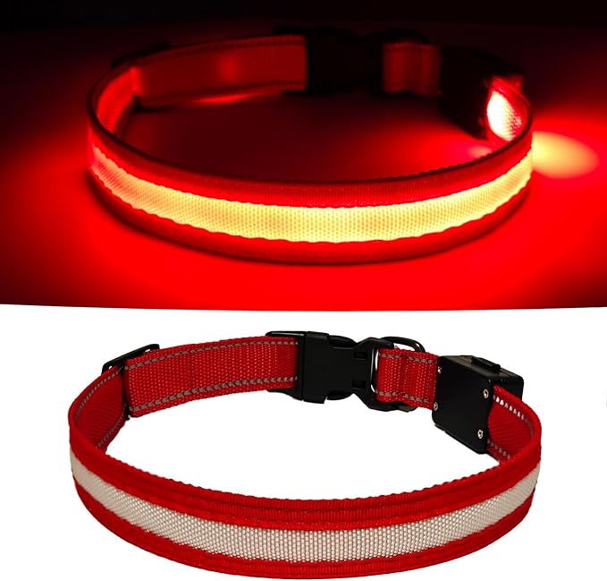 LED Dog Collar Light Up with 2025 Bright Beads & 300mAh Battery, Type-C Rechargeable Waterproof Dog Collar, 3 Flash Mode 15H for Night Safety, Adjustable Nylon Glow Collar for Small Medium Large Dogs by Unknown