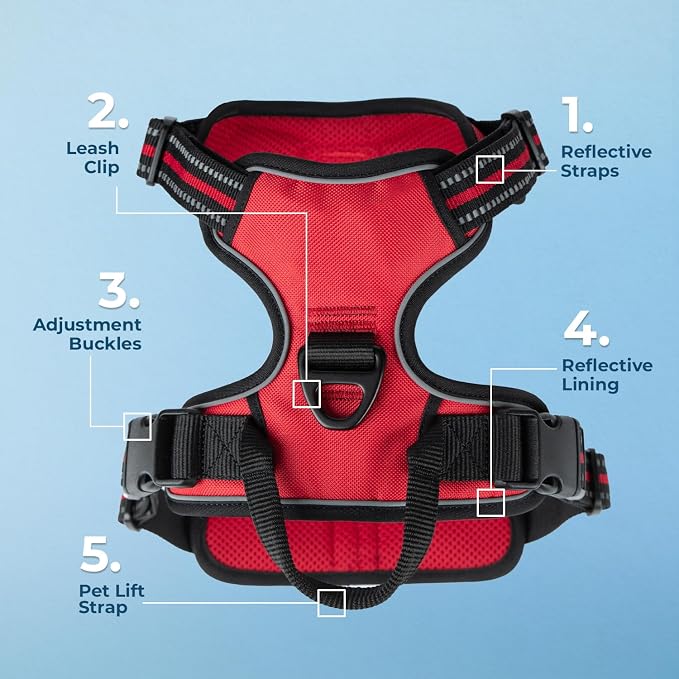 Voyager Dual Attachment No Pull Harness - Red, X-Large | 28 - 37" in Chest, No Pull Dog Harness, Fully Adjustable, 3M Reflective Technology, Front & Back D-Rings, Walking & Training - Image 2