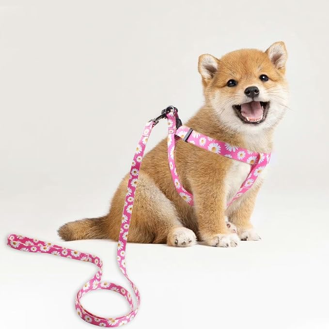 Dog Harness Leash Set Adjustable Heavy Duty No Pull Halter Harnesses for Small Medium Large Breed Dogs Back Clip Anti-Twist Perfect for Walking (S(14"-20" Chest Girth), Daisy) - Image 5