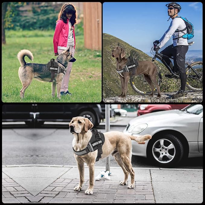 JSXD Dog Harness,No-Pull Service Dog Harness with Handle Adjustable Outdoor Pet Dog Vest 3M Reflective Nylon Material Vest for Breeds,Easy Control for Small Medium Large Dogs - Image 5