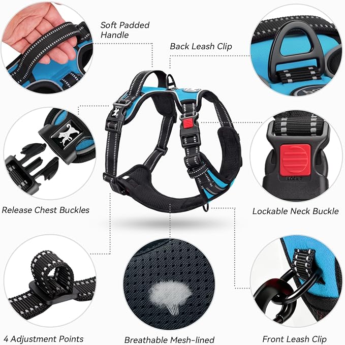 PoyPet No Pull Dog Harness Small with Front Clip & Neck Release Buckle | No Choke, Adjustable Vest, Reflective, Back Clip, Lockable, Soft Padded, Easy Control Handle for Walking Training, XS, Blue - Image 8