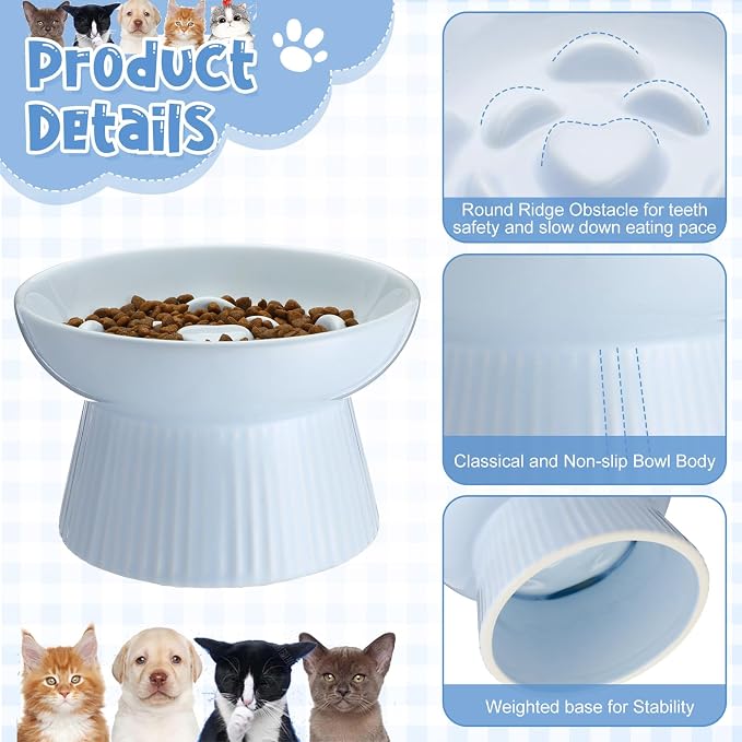 Tioncy 2 Pcs Ceramic Elevated Slow Feeder Cat Bowl, Raised Cat Slow Feeder Bowl, Anti Vomiting for Dry and Wet Food, No Spill High Edge Easy Clean Dishwasher Safe (Green,Blue) - Image 3