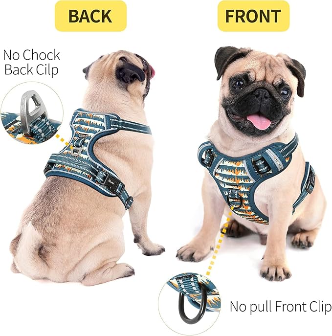 HEELE Dog Harness, No Pull Adjustable Padded Reflective Harness for Small Medium Large Dogs with Handle for Walking Training, Flower-Sunset Valley, S | Front Clip for Small Dog Harness, 2 Metal Rings with Handle, Adjustable, Soft Breathable Padded Pet ... - Image 2