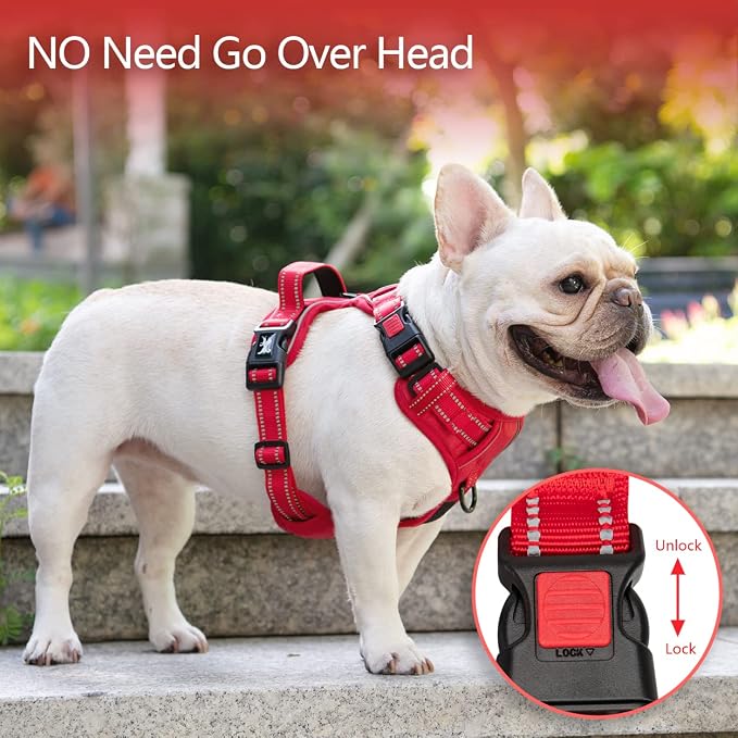 PoyPet No Pull Dog Harness, Reflective Vest with 2 Leash Clips & Handle | Lockable Neck Release Buckle, No Choke, Adjustable, Soft Padded, for Walking Training, Red Matching Trim, X-Small - Image 2