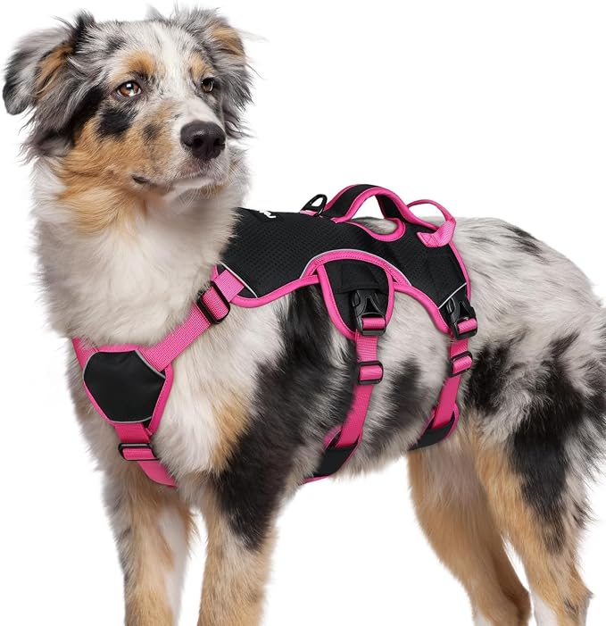 rabbitgoo Escape Proof Dog Harness for Medium, No Pull with Lift Handle | No Escape, Full Soft Padded, Reflective Adjustable Vest, Leash Clip for Walking Hiking Training, Rose & Black, Medium by rabbitgoo