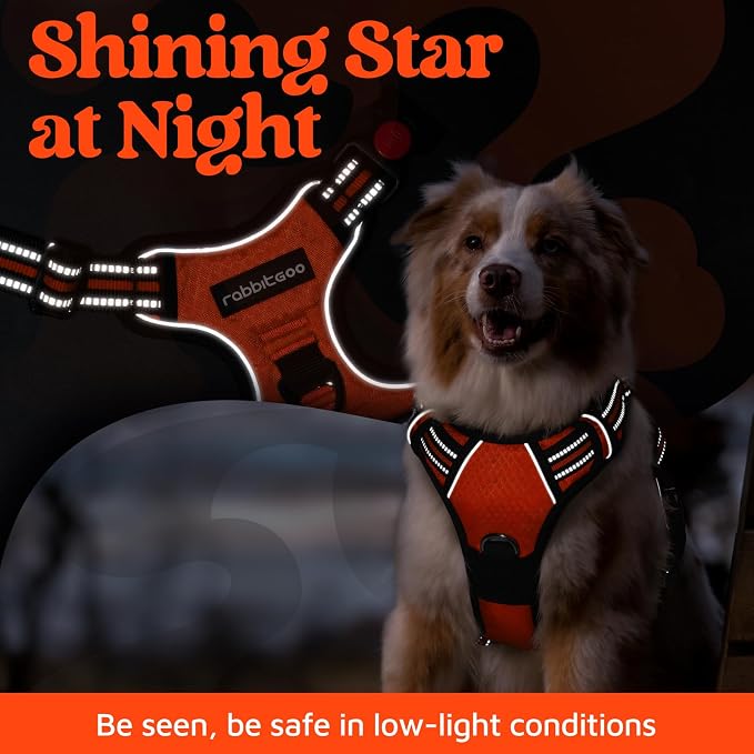 rabbitgoo Dog Harness Small Sized, No Pull 3 Buckles Easy On & Off | Soft Padded, Walking with Control Handle, Adjustable and Reflective, Orange, Small - Image 6