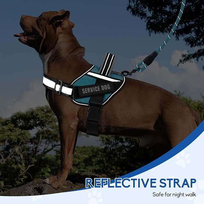 Service Dog Vest Harness and Leash Set, Animire in Training Dog Harness with 10 Dog Patches, Reflective Dog Leash with Soft Padded Handle for Dogs (Light Blue,Xs) - Image 5