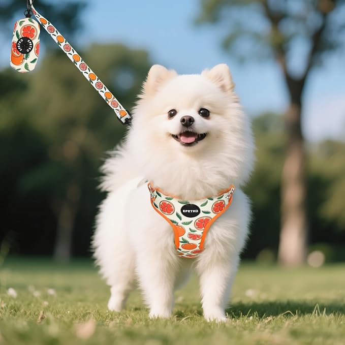 Small Dog Harness and Leash Set of 6, No Pull Soft Lightweight Mesh Puppy Harness， Adjustable Cute Floral Pattern Pet Harness for Small Medium Dogs (Orange, M) - Image 7