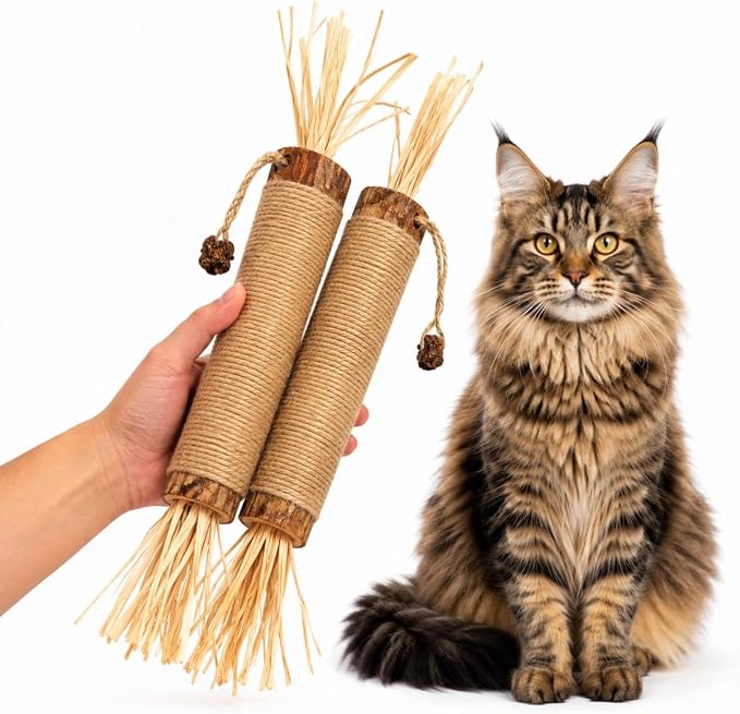 Extra Large Silvervine Sticks for Cats 2 Pack, Natural Cat Chew Toys with Sisal Rope & Feathers, Silver Vine Catnip Alternative for Indoor Cats & Kittens by Unknown