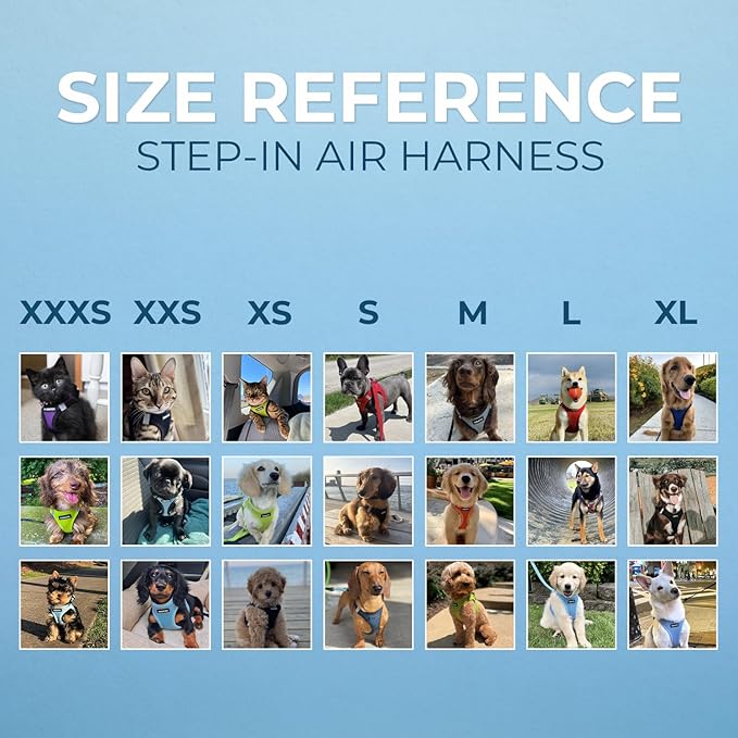 Best Pet Supplies Voyager Step-in Air All Weather Mesh Harness and Reflective Dog 5ft Leash Combo with Neoprene Handle, for Small, Medium and Large Breed Puppies - Khaki, XS - Image 6