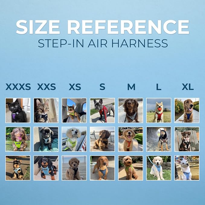Best Pet Supplies Voyager Step-in Air All Weather Mesh Harness and Reflective Dog 5ft Leash Combo with Neoprene Handle, for Small, Medium and Large Breed Puppies - Lavender, XXS - Image 6