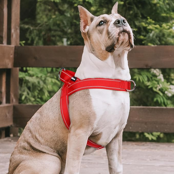 rabbitgoo Dog Harness No Pull, Quick Fit for Large Dogs with Soft Padded Handle, Chest Adjustable Reflective Pet Vest, No Choke Escape Proof for Walking Training, Red L - Image 9