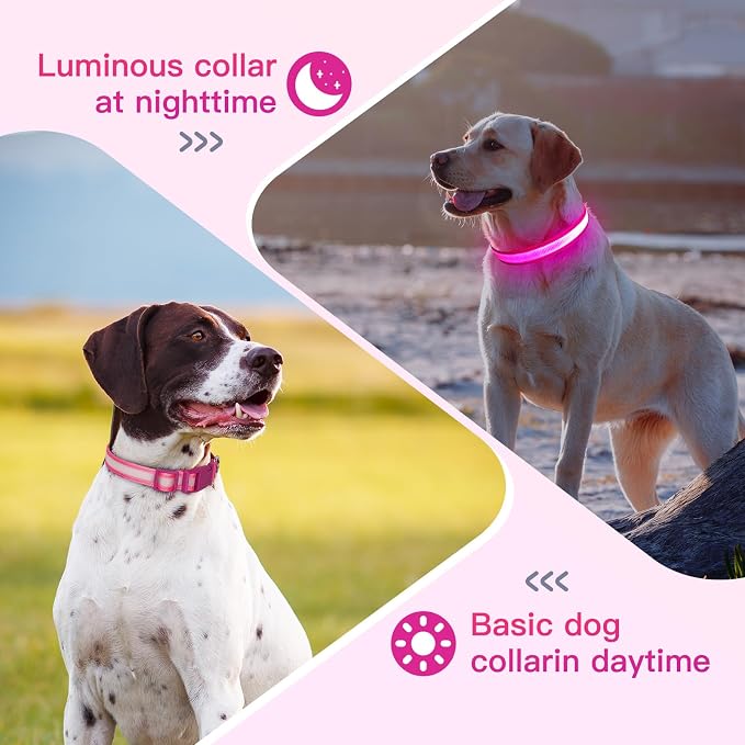 LED Light Up Dog Collar for Night Safety Walks, Pink, L | USB rechargeable, waterproof & pet-safe, 3 lighting modes, long-lasting glow, adjustable S/M/L, soft comfy daily walk fit - Image 5