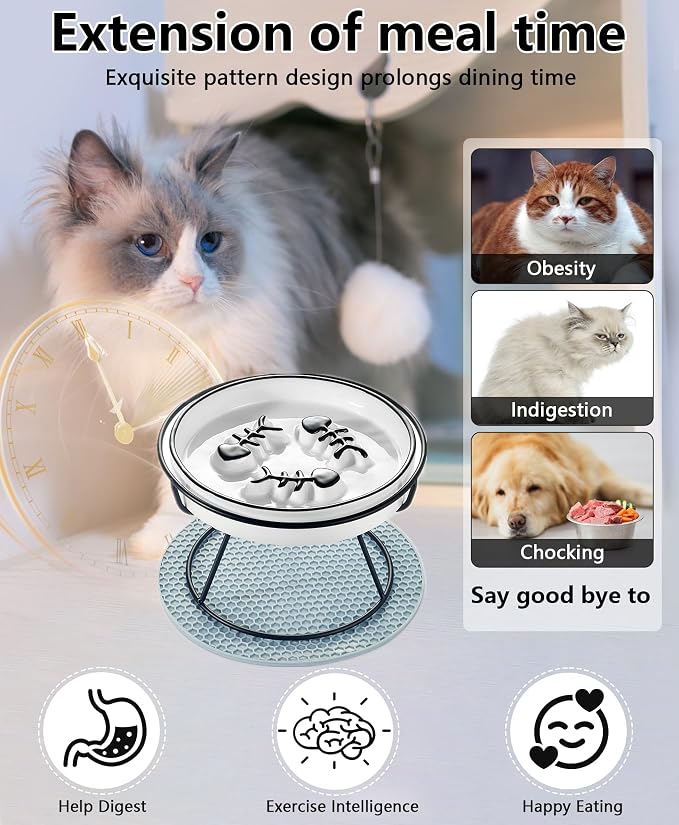 Ceramic Elevated Slow Feeder Cat Bowl, Anti Vomit, Removable Dish, Black | Removable Ceramic Bowl Slow Feeder Anti Vomit Whisker-Friendly Wet & Dry Food - Image 3
