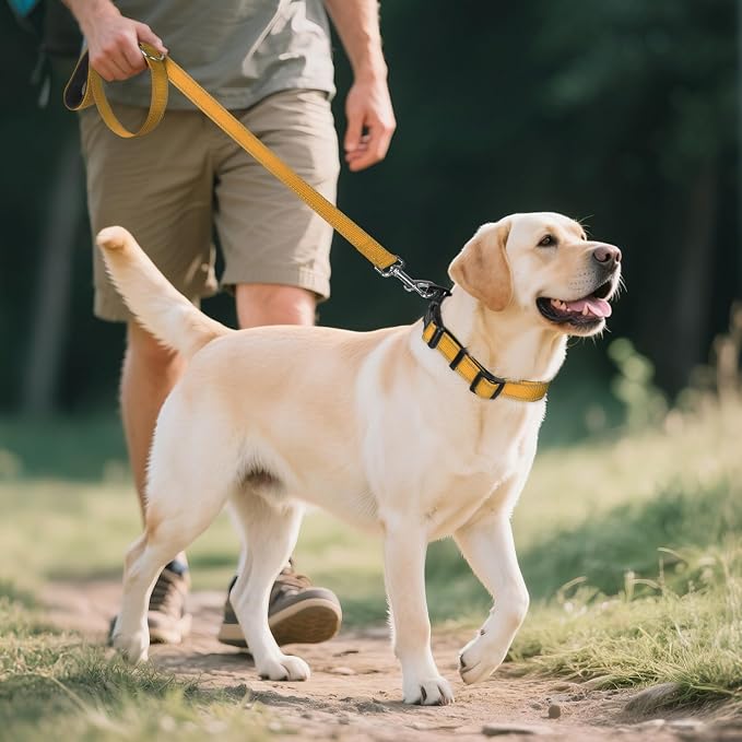 Joytale Reflective Dog Collar, Adjustable Neoprene Padded, Khaki XL | Breathable Nylon for Large Breeds, No Chafing on Hikes and Outdoor Use, Tear-Resistant Webbing, Metal D-Ring, Night Safety - Image 6