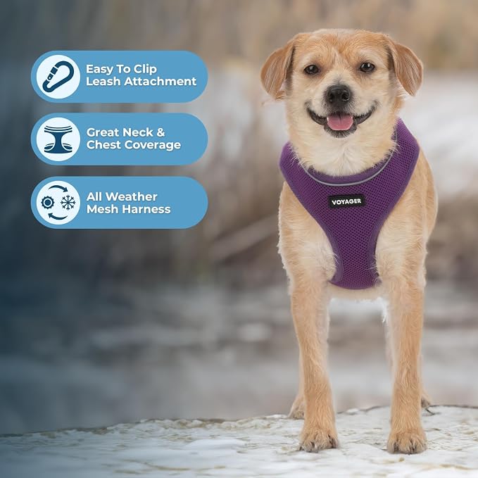 Best Pet Supplies Voyager Aerolite Over the Head Dog Harness, No Pull Breathable Air Mesh Vest, Quick Dry with Reflective Stitching, Adjustable Escape Resistant Harness - Purple, X-Large - Image 2