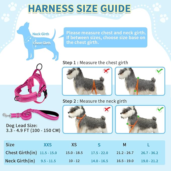 SlowTon No Pull Small Dog Harness and Leash Set with Front Clip | Soft Padded, Neck & Chest Adjustable, Lightweight, Anti-Twist, Puppy Vest Harness Pet Lead Combo for Small Medium Dog, FU XS - Image 5