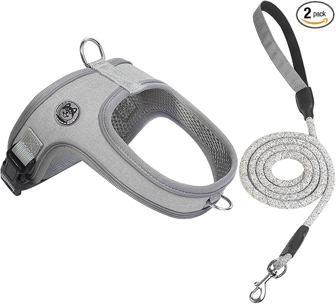 Dog Harness and Leash Set, No Pull Saddle Style Pet Harness, Breathable Mesh Adjustable Reflective Dog Vest for Medium Small Dogs Harness 2 D-Rings, Grey, XS by Mengbeitribe