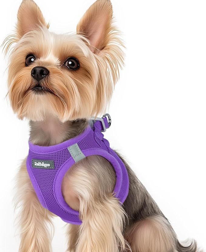 rabbitgoo Step-in Small Dog Harness, Puppy Vest for Small Sized Pet | Easy Put on and off, Lightweight, Soft, Breathable Quick-Dry Air Mesh for Comfortable Secure Walking, Purple XS by rabbitgoo