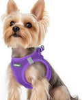 rabbitgoo Step-in Small Dog Harness, Puppy Vest for Small Sized Pet | Easy Put on and off, Lightweight, Soft, Breathable Quick-Dry Air Mesh for Comfortable Secure Walking, Purple XS by rabbitgoo