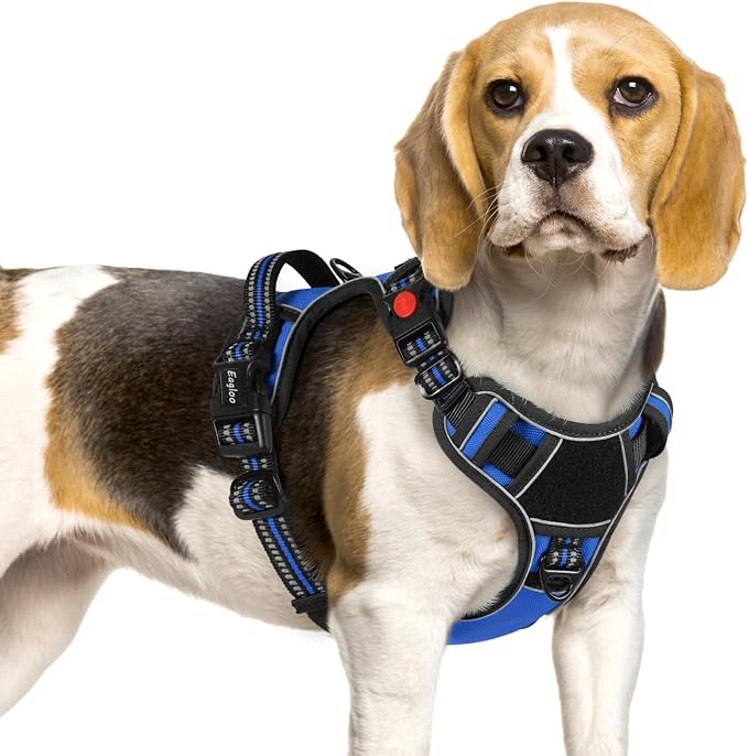 Eagloo Dog Harness No Pull for Small Dogs, Easy On & Off with 3 Buckles | No Choke with Front Clip, Adjustable Fit, MOLLE System, Reflective Vest, Easy Control for Walking, Black & Blue, Small by GoExplorewithEagloo
