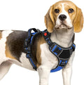 Eagloo Dog Harness No Pull for Small Dogs, Easy On & Off with 3 Buckles | No Choke with Front Clip, Adjustable Fit, MOLLE System, Reflective Vest, Easy Control for Walking, Black & Blue, Small by GoExplorewithEagloo