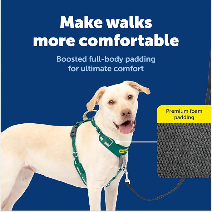PetSafe Easy Walk Comfort No Pull Dog Harness, Green, Large | Stops Pulling on First Use with Front Martingale Loop, Full-Body Padding, 5-Point Adjustable Fit - Image 3
