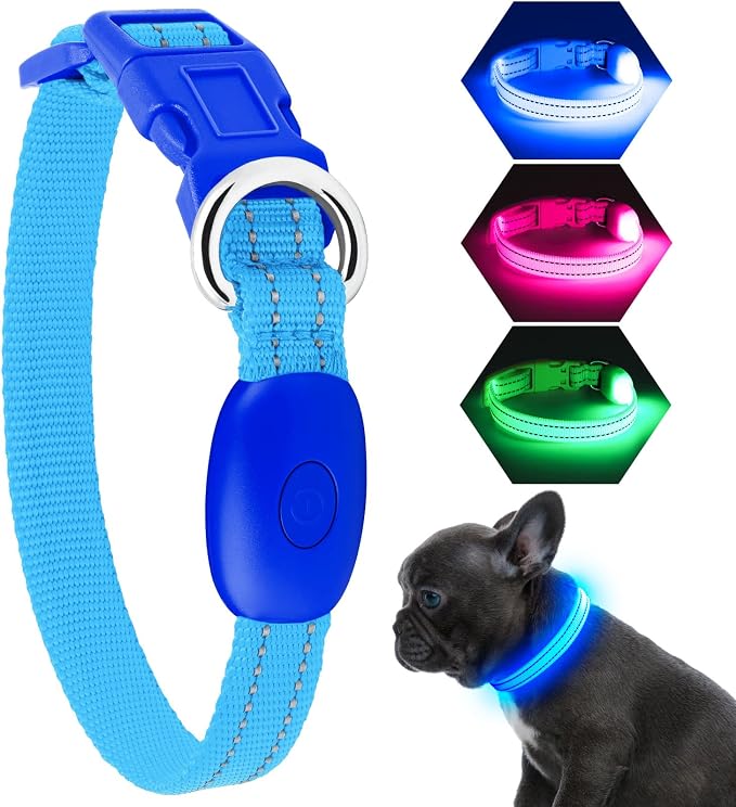 Light Up Dog Collar, Rechargeable USB Collar, Waterproof, Luminous LED Collar, Adjustable, Super Bright, Night Walking for Small Medium Large Dogs, Blue, S by KOSKILL